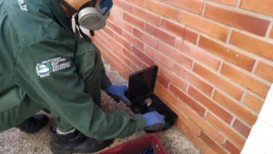 Técnico da Detecta instalando porta-isca lacrado para controle de ratos